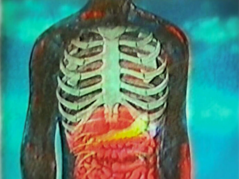 Educational film animation of a torso showing ribcage and organs